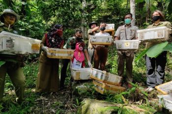 Penyelundupan 212 ekor burung ke Jawa Tengah kembali digagalkan
