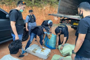 Polisi gagalkan peredaran tujuh karung ganja lintas Sumatera