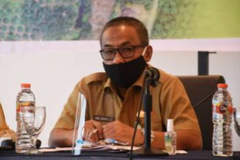 Pemprov Sulbar dorong akurasi data perkebunan kelapa sawit