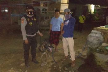 DPO sabu di Lombok Tengah ditangkap polisi