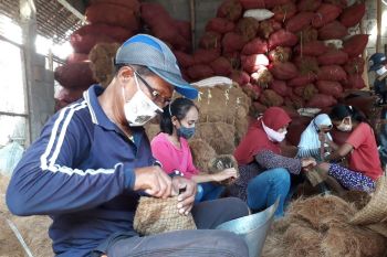 Perajin pot sabut kelapa di Kediri "banjir" pesanan