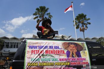 Unjuk Rasa Petani Jember