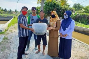 Pemkab bantu kelompok budidaya perikanan di Kapuas