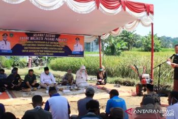 Petani bawang merah di Padang Panjang terima bantuan untuk tingkatkan produksi