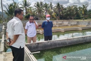 Pemkab Dharmasraya terima DAK Rp1,03 miliar untuk BBI dan benih ikan