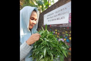 Ikhtiar pemenuhan ketahanan pangan di saat pandemi di perkotaan