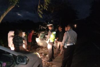 Mobil pick up takbrak pohon di Praya Timur