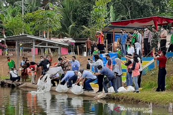 KKP:  Perikanan merupakan sektor yang bernilai positif saat pandemi