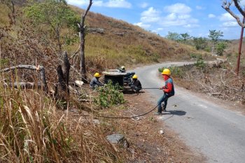 Rasio elektrifikasi listrik di NTT mencapai 87,31 persen