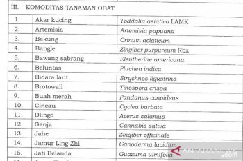 Mentan menetapkan ganja dalam daftar komoditas tanaman obat binaan