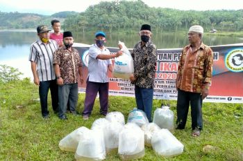 Pemkab Pasaman Barat serahkan 120 ribu bibit ikan untuk tingkatkan produksi ikan tawar