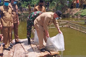 Wagub tebar bibit, produktif usaha ikan air tawar sejahterakan petani