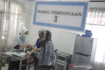 Vaksin rabies gratis bagi hewan peliharaan
