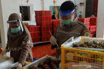 Ekspor Sumbar mulai alami peningkatan sejak  Juli 2020