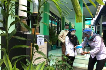 Penyebaran nyamuk berwolbachia diperluas ke seluruh Yogyakarta
