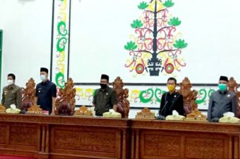 Musrenbang tumbuh kembangkan peran aktif masyarakat Sukamara