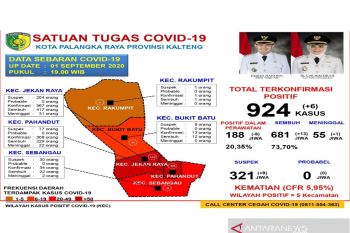 Tingkat kesembuhan COVID-19 di Palangka Raya 73,70 persen