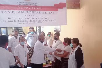 363.140 KPM di NTT mendapat bansos beras dari Kemensos