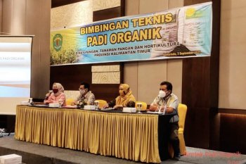 DPTPH Provinsi Kaltim latih Gapoktan budi daya padi organik