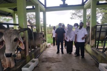 DKI Jakarta siapkan investasi Rp2 triliun kembangkan peternakan di Sultra