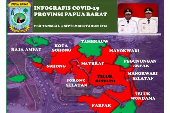 Positif COVID-19 di Papua Barat bertambah 25 kasus, lima sembuh