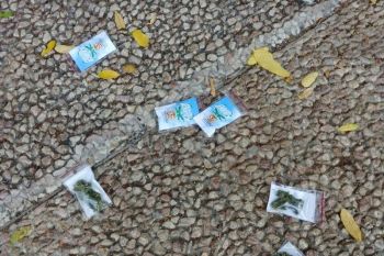 Paket ganja berjatuhan dari langit di Tel Aviv