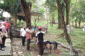 Dinas Pariwisata Palembang ajak  pegiat sastra ramaikan Bukit Siguntang