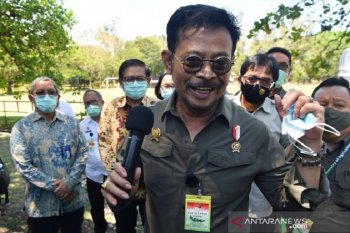 Menteri Pertanian sebut akan ada alokasi tambahan pupuk bersubsidi