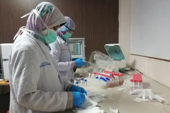 BKAD Sulsel  cairkan insentif nakes tangani COVID-19 sebesar Rp4 miliar