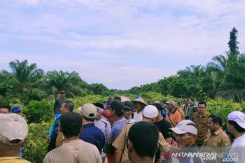 Kabag Pertanahan Siak enggan komentari dugaan korupsi penerbitan IUP PT DSI