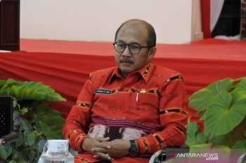 16 kabupaten di NTT  jadi pusat pengembangan  jagung