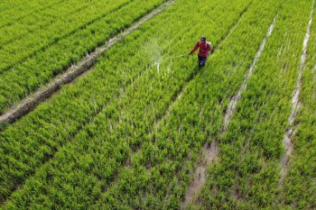 Mentan: Kami telah atur ketat distribusi pupuk bersubsidi sesuai RDKK