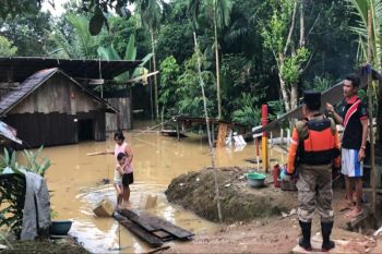 BPBD Lamandau tinjau daerah terdampak banjir