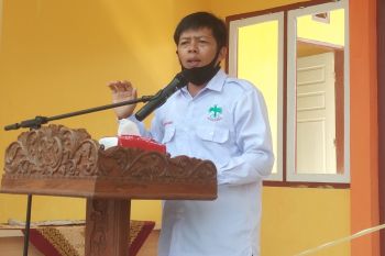 Apkasindo Pesisir Selatan kerja sama dengan PPKS Medan sediakan kecambah unggul bagi petani