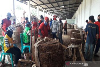 Petani Temanggung keluhkan penyerapan tembakau oleh industri rokok belum optimal