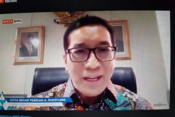 Pandemi COVID-19 akan pengaruhi pembahasan berbagai isu di DK PBB