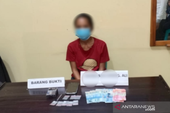 Polisi tangkap ibu rumah tangga diduga jadi pengedar sabu-sabu