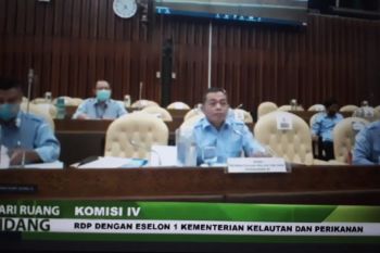 Menteri KKP Edhy diharapkan segera sehat kembali