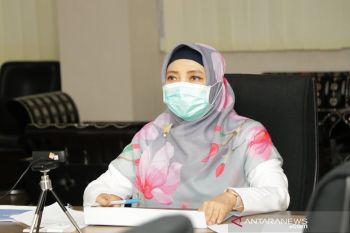 Pemprov NTB mengusulkan revisi Perda RTRW