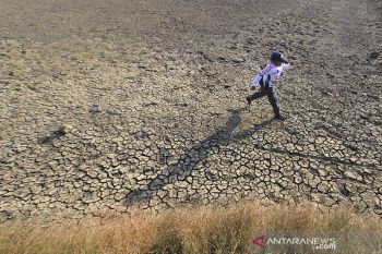 Lahan tambak mengering