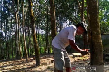Indonesia buka peluang kerja sama industri ban dengan China