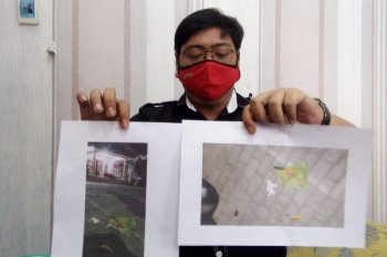 Kantor KPU diteror bunga setaman dan boneka kertas