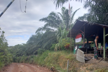 Satgas Yonif 133/YS bagikan Alquran di wilayah perbatasan