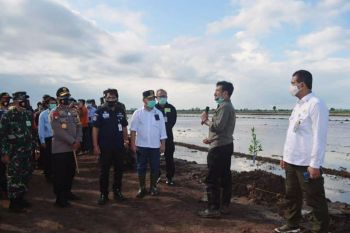 Mentan ingin lokasi pengembangan 'food estate' benar-benar dimantapkan