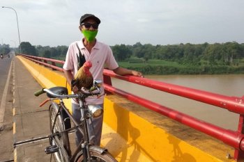 Aneh, Seekor ayam kate doyan musik dan naik sepeda onthel