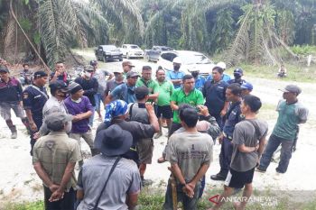 PT AGU alami kerugian miliaran rupiah akibat pencurian  TBS sawit