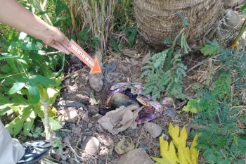 Malu bunting dari hasil hubungan gelap, seorang janda Malaysia di Lotim buang bayi ditindih batu