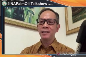 Wamenlu: Label "bebas kelapa sawit" dapat rugikan Indonesia
