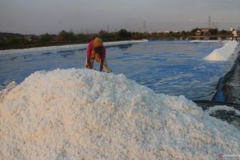 Produksi garam rakyat Jatim turun