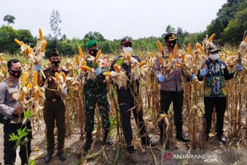Pemkab Bartim apresiasi aksi nyata Polres dukung ketahanan pangan